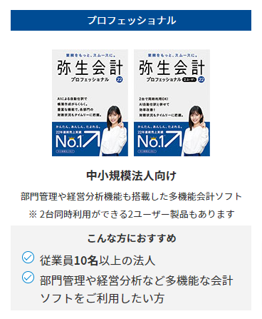弥生会計22 パッケージ版 - 福岡の中小企業のためのホームページ事業 
